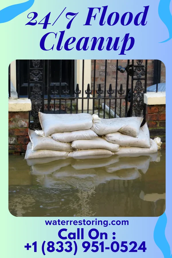 24/7 Flood Cleanup in Gouldtown, NJ