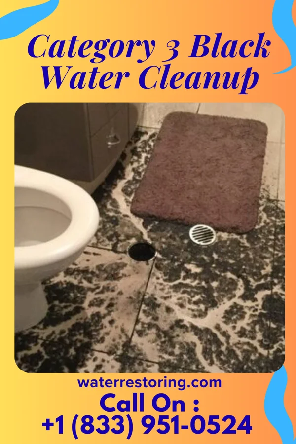 Category 3 Black Water Cleanup in Gouldtown, NJ