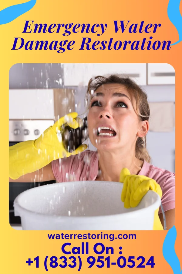 Emergency Water Damage Restoration in Gouldtown, NJ
