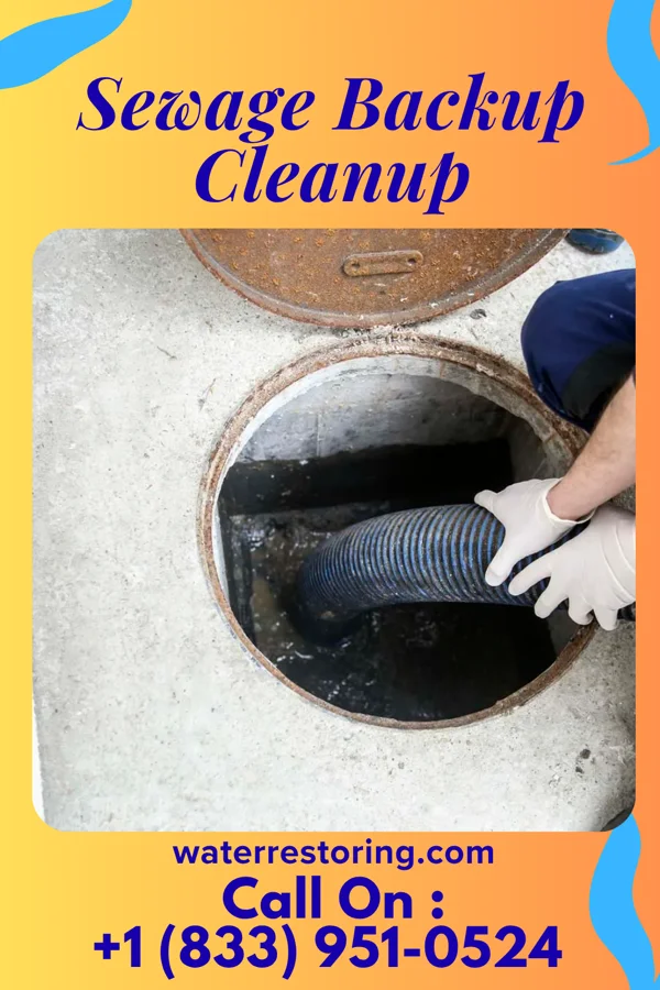 Sewage Backup Cleanup in Gouldtown, NJ