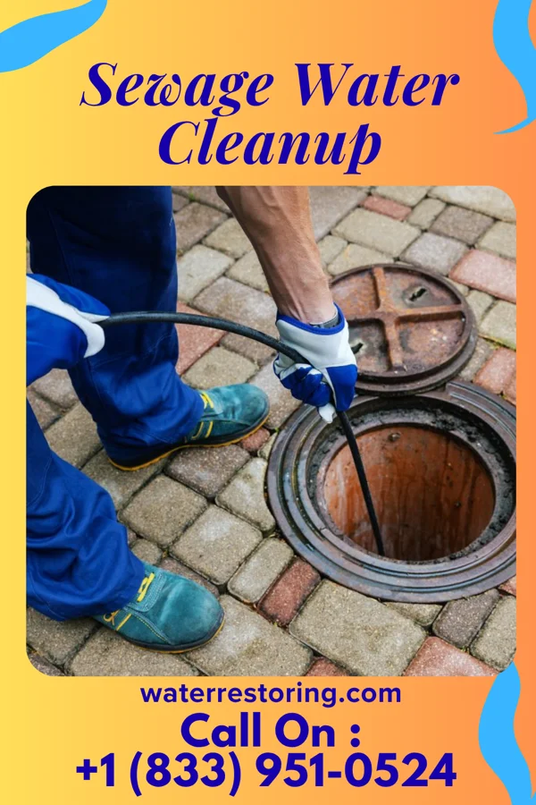 Sewage Water Cleanup in Gouldtown, NJ