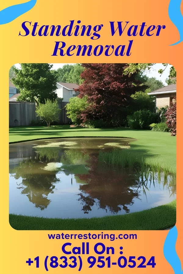 Standing Water Removal in Gouldtown, NJ